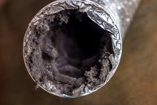 Best Local Air Duct Cleaning Services  in Oakland, SC